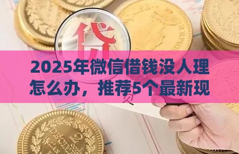 2025年微信借钱没人理怎么办，推荐5个最新现在贷款平台好用