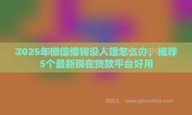 2025年微信借钱没人理怎么办，推荐5个最新现在贷款平台好用