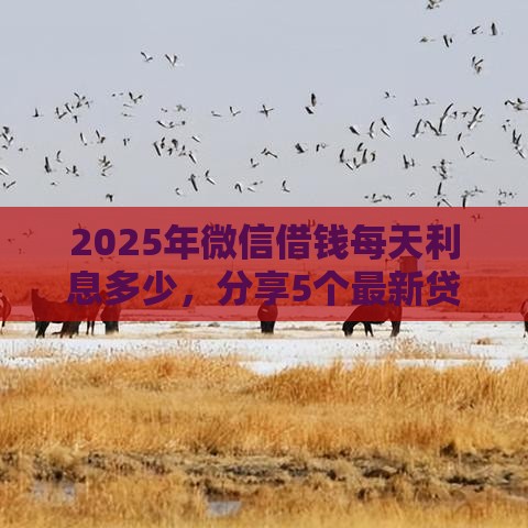 2025年微信借钱每天利息多少，分享5个最新贷款不用还的平台