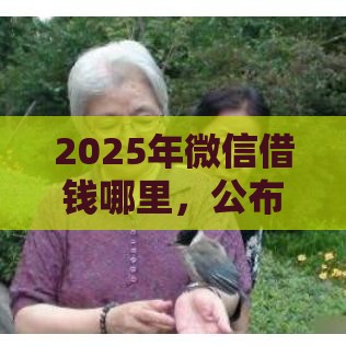 2025年微信借钱哪里，公布5个最新借款平台可以借钱
