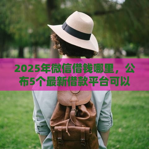2025年微信借钱哪里，公布5个最新借款平台可以借钱