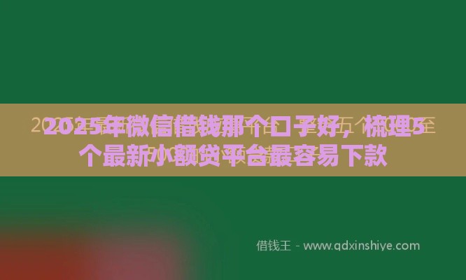 2025年微信借钱那个口子好，梳理5个最新小额贷平台最容易下款