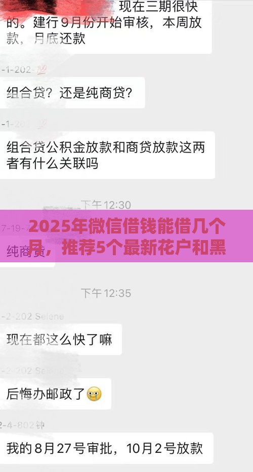 2025年微信借钱能借几个月，推荐5个最新花户和黑户也能放款的平台