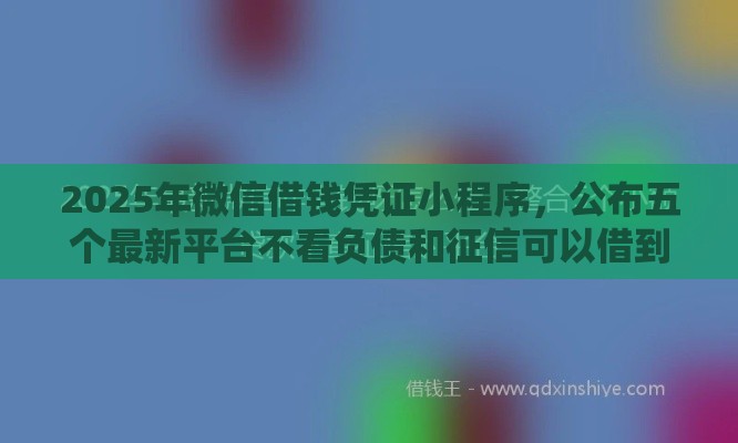 2025年微信借钱凭证小程序，公布五个最新平台不看负债和征信可以借到钱