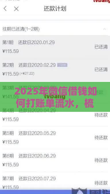 2025年微信借钱如何打账单流水，梳理五个最新怎样举报网贷平台