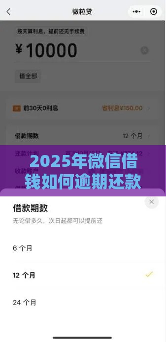 2025年微信借钱如何逾期还款呢，看看这5个最新借钱平台排名不分先后