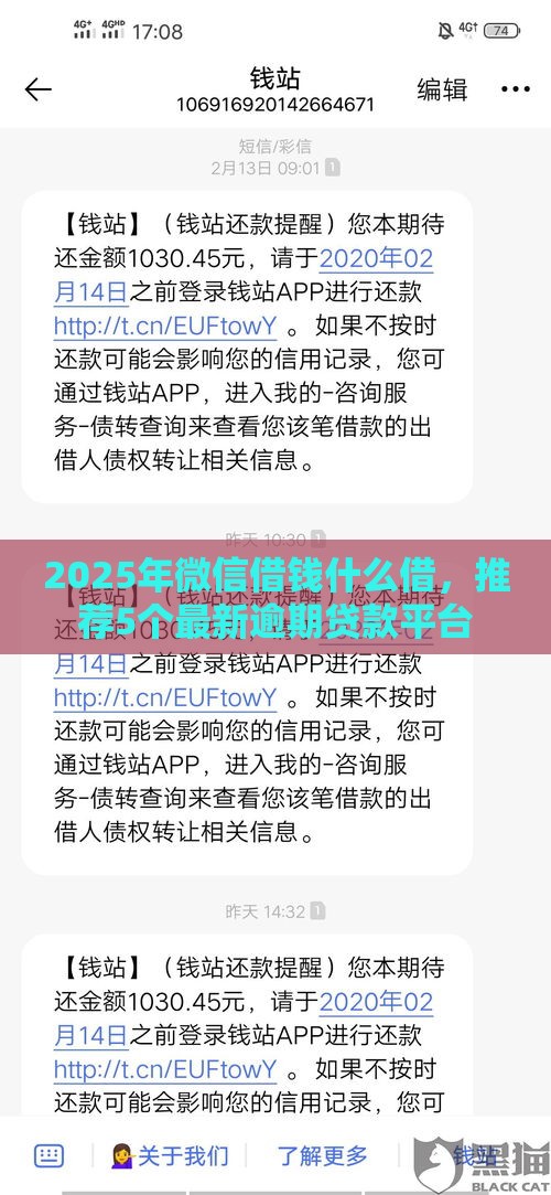 2025年微信借钱什么借，推荐5个最新逾期贷款平台