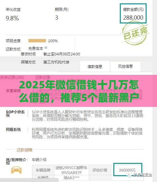 2025年微信借钱十几万怎么借的，推荐5个最新黑户包下的口子