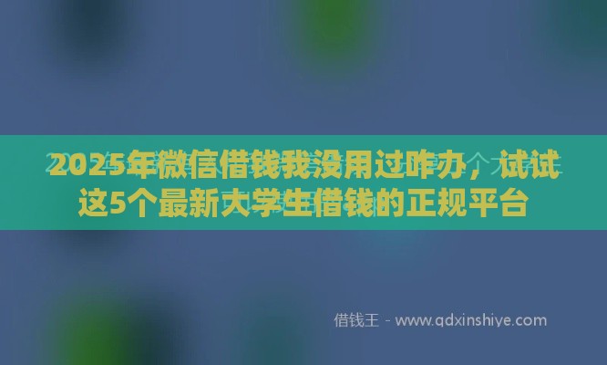 2025年微信借钱我没用过咋办，试试这5个最新大学生借钱的正规平台