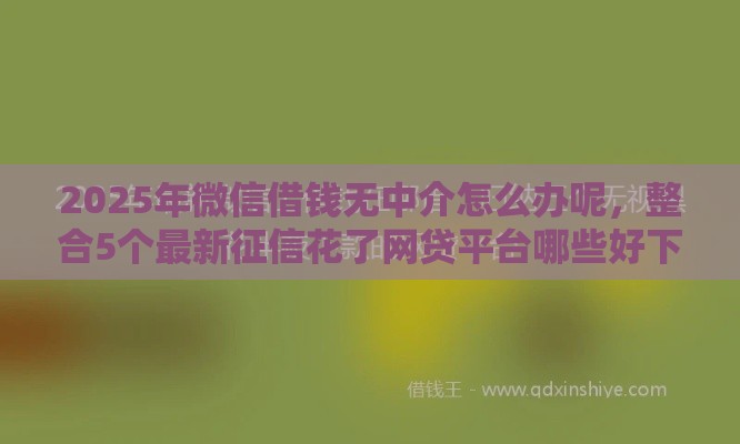 2025年微信借钱无中介怎么办呢，整合5个最新征信花了网贷平台哪些好下款