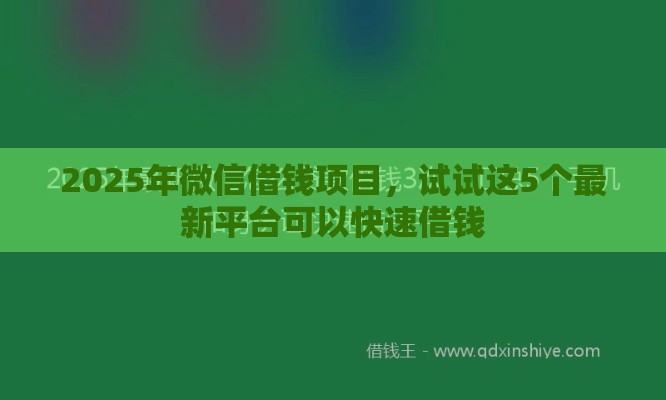 2025年微信借钱项目，试试这5个最新平台可以快速借钱