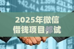 2025年微信借钱项目，试试这5个最新平台可以快速借钱