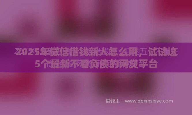 2025年微信借钱新人怎么用，试试这5个最新不看负债的网贷平台