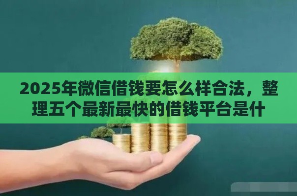 2025年微信借钱要怎么样合法,整理五个最新最快的借钱平台是什么 2025年微信借钱要怎么样合法,整理五个最新最快的借钱平台是什么