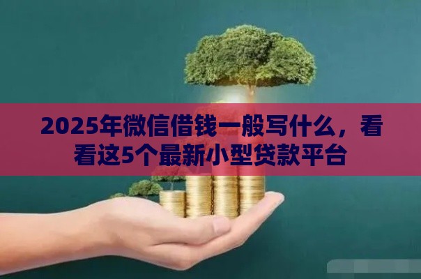 2025年微信借钱一般写什么，看看这5个最新小型贷款平台