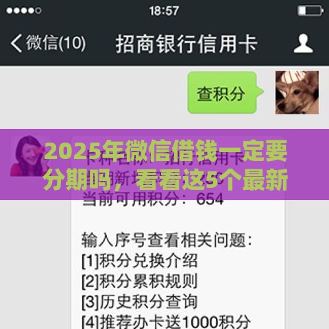 2025年微信借钱一定要分期吗，看看这5个最新十七岁可以贷款的平台