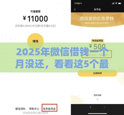 2025年微信借钱一个月没还，看看这5个最新17岁借钱平台