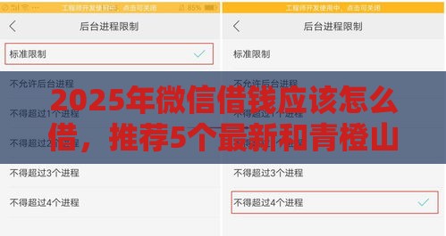 2025年微信借钱应该怎么借,推荐5个最新和青橙山一样能下款的口子 2025年微信借钱应该怎么借,推荐5个最新和青橙山一样能下款的口子