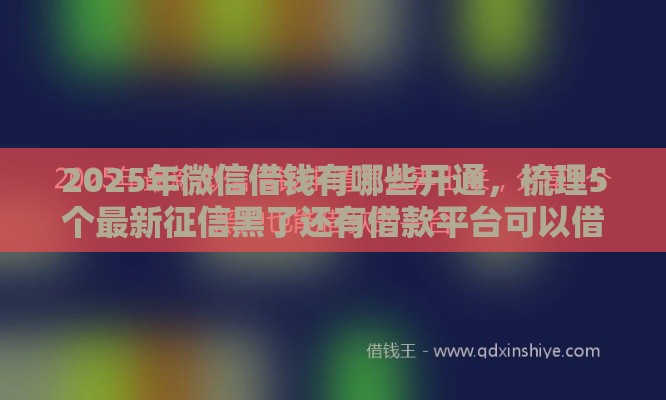 2025年微信借钱有哪些开通，梳理5个最新征信黑了还有借款平台可以借钱