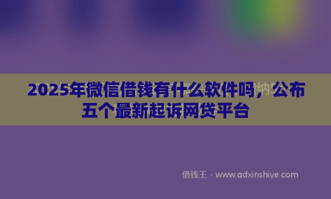 2025年微信借钱有什么软件吗，公布五个最新起诉网贷平台