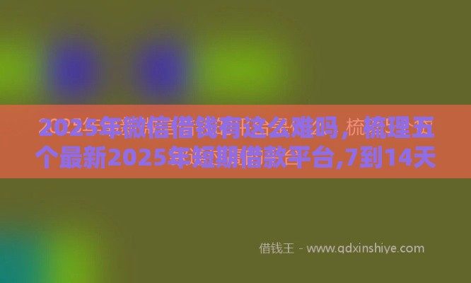 2025年微信借钱有这么难吗，梳理五个最新2025年短期借款平台,7到14天