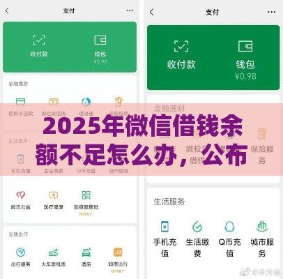 2025年微信借钱余额不足怎么办，公布五个最新60岁以上老人网贷口子