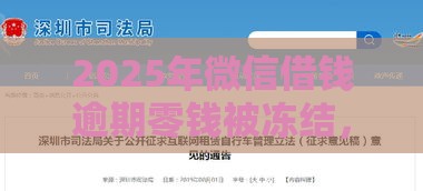 2025年微信借钱逾期零钱被冻结，分享5个最新黑口子不看征信无视大数据