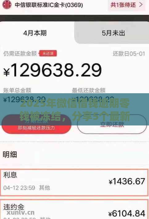 2025年微信借钱逾期零钱被冻结，分享5个最新黑口子不看征信无视大数据