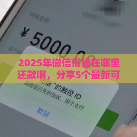 2025年微信借钱在哪里还款啊，分享5个最新可以借钱的正规平台