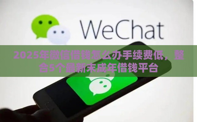 2025年微信借钱怎么办手续费低，整合5个最新末成年借钱平台