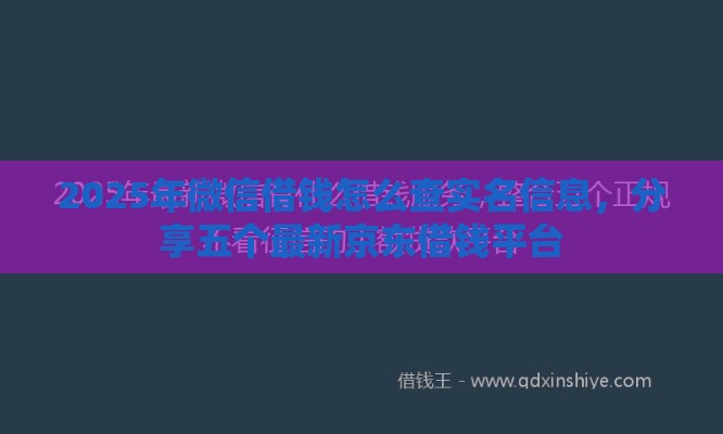 2025年微信借钱怎么查实名信息，分享五个最新京东借钱平台