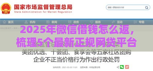 2025年微信借钱怎么返，梳理5个最新正规网贷平台排名不分先后