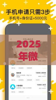 2025年微信借钱怎么分付的，梳理五个最新2025黑花户借款平台