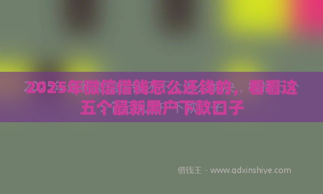 2025年微信借钱怎么还钱的，看看这五个最新黑户下款口子