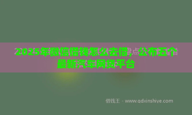 2025年微信借钱怎么去借，公布五个最新汽车网贷平台