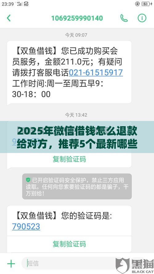 2025年微信借钱怎么退款给对方，推荐5个最新哪些网贷平台不上征信