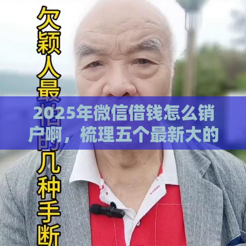 2025年微信借钱怎么销户啊，梳理五个最新大的网贷平台
