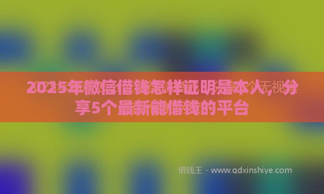 2025年微信借钱怎样证明是本人，分享5个最新能借钱的平台