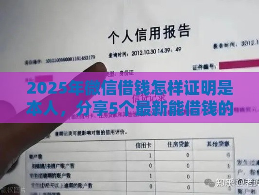 2025年微信借钱怎样证明是本人，分享5个最新能借钱的平台