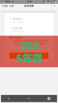 2025年微信借钱最多分几期还，推荐五个最新融享花一样的平台
