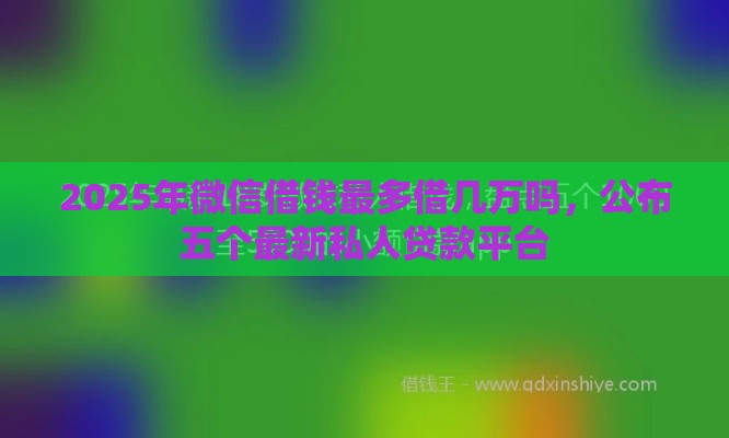 2025年微信借钱最多借几万吗，公布五个最新私人贷款平台