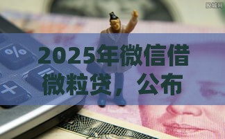 2025年微信借微粒贷，公布五个最新最新黑户口子