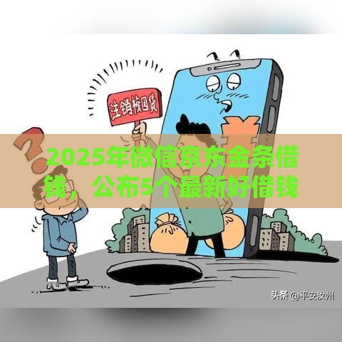 2025年微信京东金条借钱，公布5个最新好借钱的平台