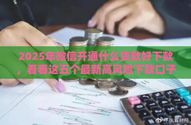2025年微信开通什么贷款好下款，看看这五个最新高风险下款口子