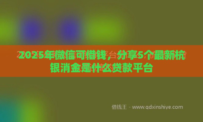 2025年微信可借钱，分享5个最新杭银消金是什么贷款平台