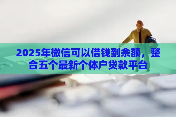 2025年微信可以借钱到余额，整合五个最新个体户贷款平台