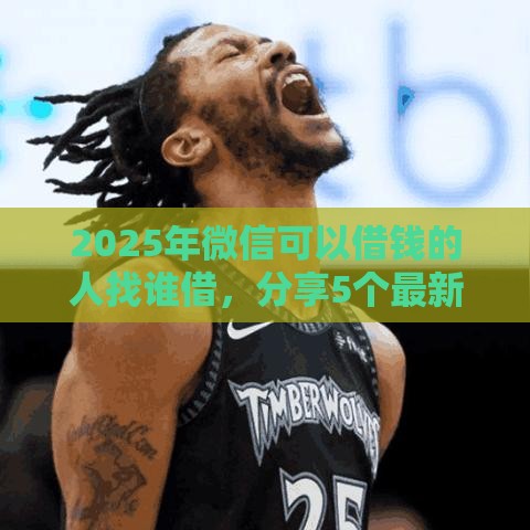 2025年微信可以借钱的人找谁借，分享5个最新网贷秒拒能下款的口子