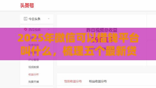 2025年微信可以借钱平台叫什么，梳理五个最新贷款平台容易通过的