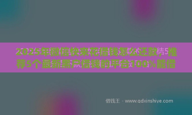 2025年微信快来花借钱怎么还款，推荐5个最新黑户借钱的平台100%能借