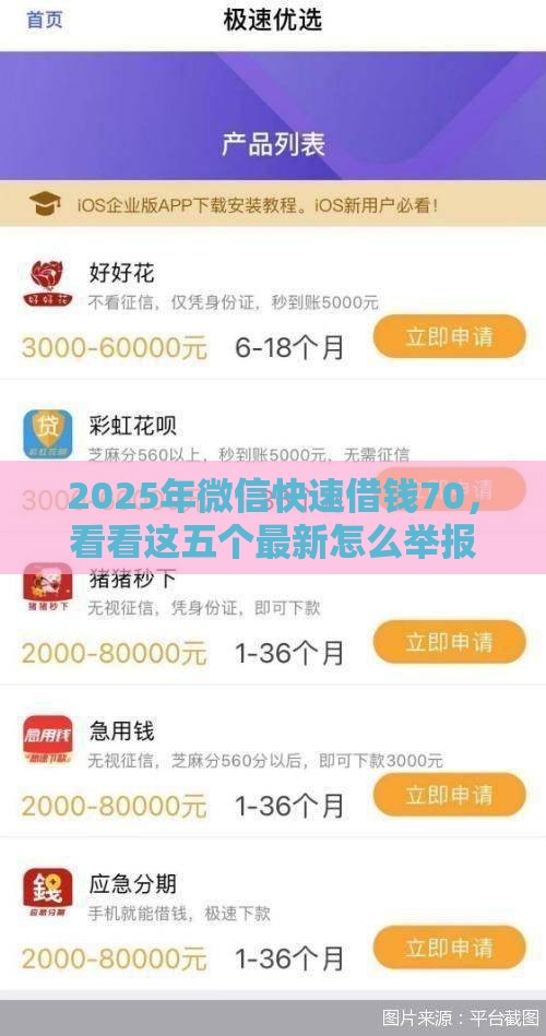 2025年微信快速借钱70，看看这五个最新怎么举报网贷平台